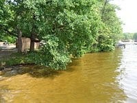 Wendische Spree in Berlin, ein Nebenarm der Spree