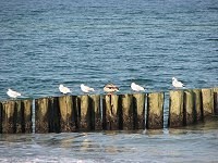 Der Charme der Ostsee