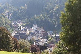 Kleinstadt im Sauerland, Natur mit Wäldern