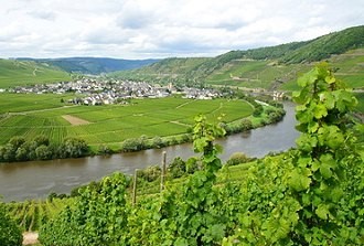 Urlaub in Trittenheim an der Mosel