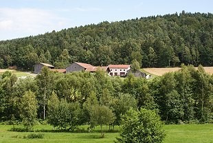 Ferienhäuser im Ort Neuenkirchen