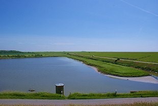 Deichlandschaft in Nordfriesland