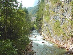 Ein kleiner idyllischer Bach