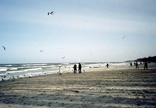 Langer Badestrand an der Polnischen Ostseeküste