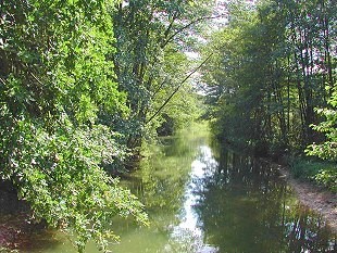 Walderlandschaft und Wallensteingraben Walderlandschaft und Wallensteingraben