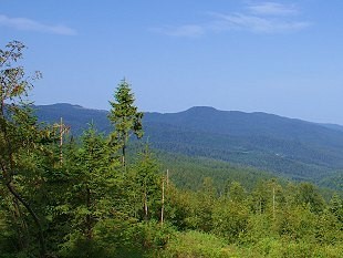 Bewaldete Gebirgslandschaft im Thüringer Wald