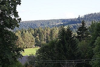 Idyllisches Waldgebiet im Herzen des Spessart