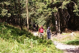 Wanderer im Thüringer Wald