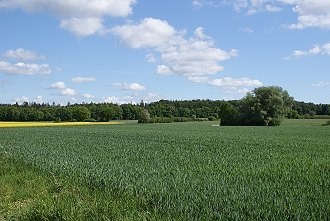 Wiesen und Wälder im Bergischen Land