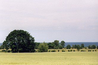 Strand von Wohlenberg