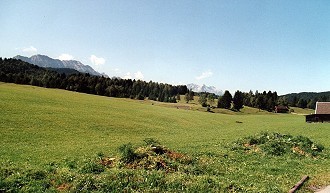 Sommerwiese in der Wintersportregion Garmisch-Partenkirchen Sommerwiese in der Wintersportregion Garmisch-Partenkirchen