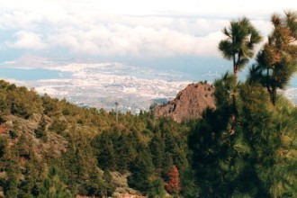 Wanderung in den Bergen Gran Canarias