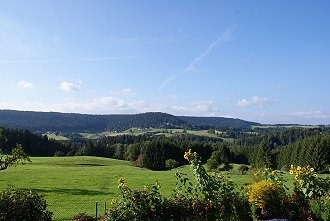 Schöne Wiesen im Neckartal, ideal zum Wandern