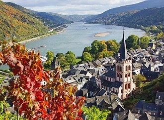 Landschaft bei Bacharach in der Pfalz