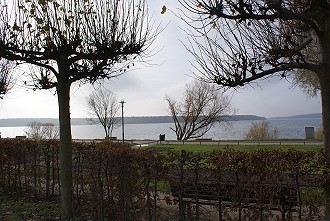 Parkanlage im Warener Stadthafen