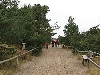 ein Weg zum Ostseestrand, am Zingster Leuchtturm